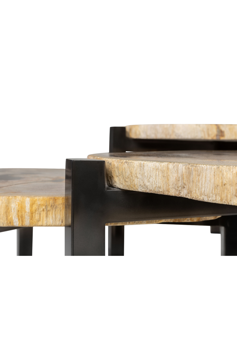 Petrified Wood Nested Coffee Tables (3) | Versmissen | Oroatrade.com