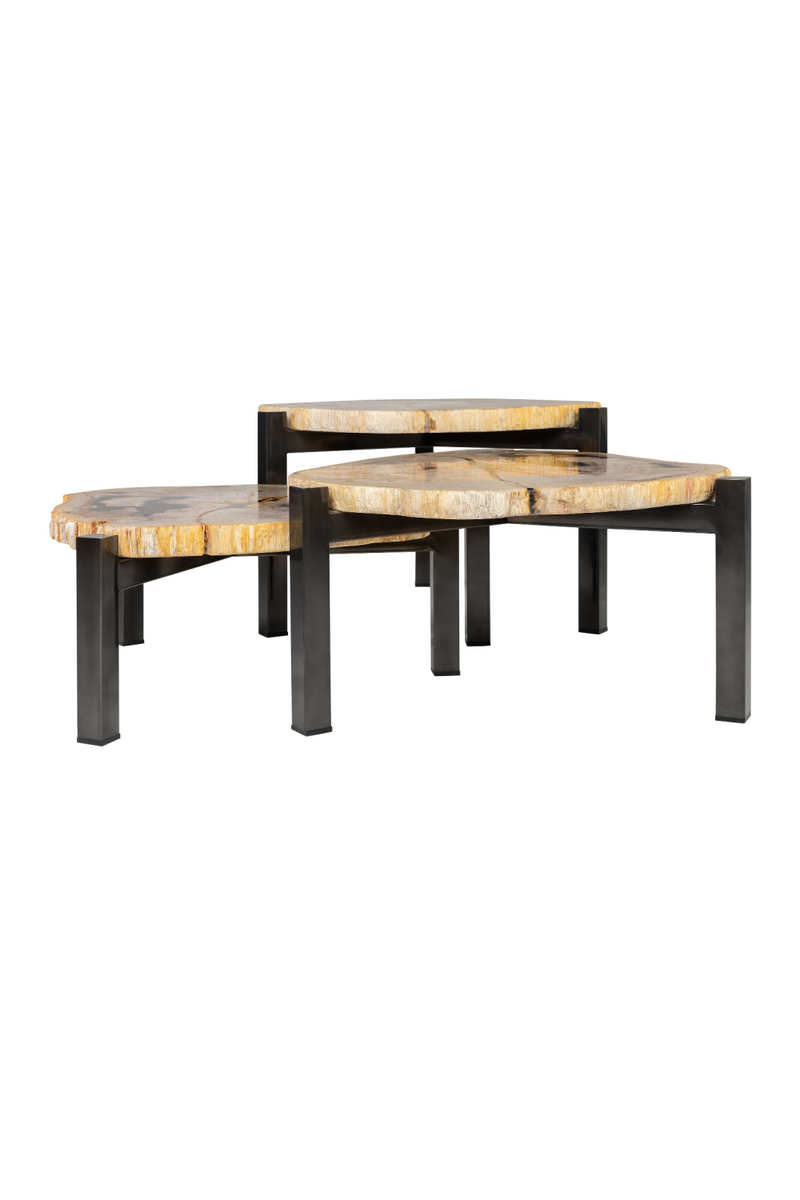 Petrified Wood Nested Coffee Tables (3) | Versmissen | Oroatrade.com