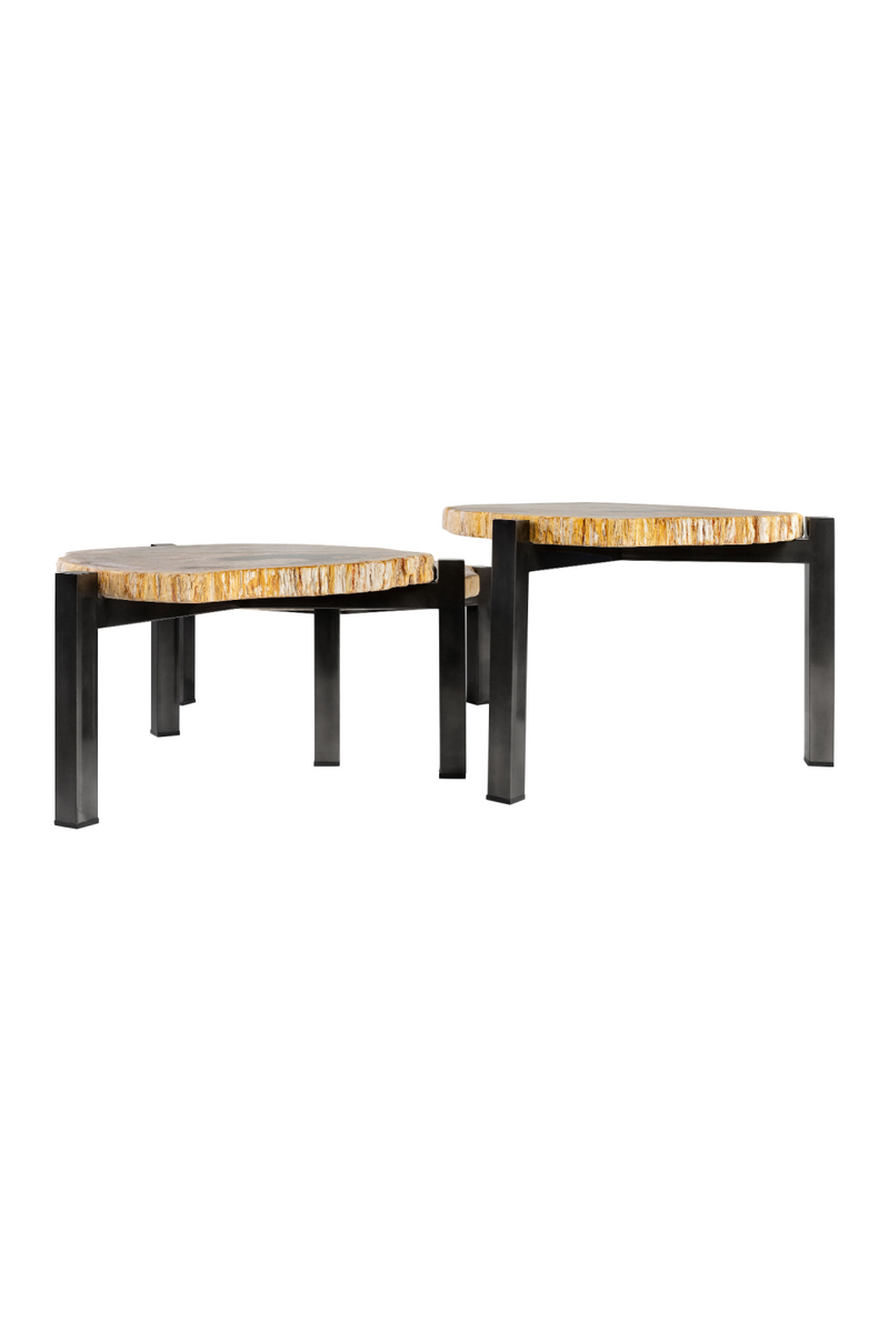 Petrified Wood Nested Coffee Tables (3) | Versmissen | Oroatrade.com