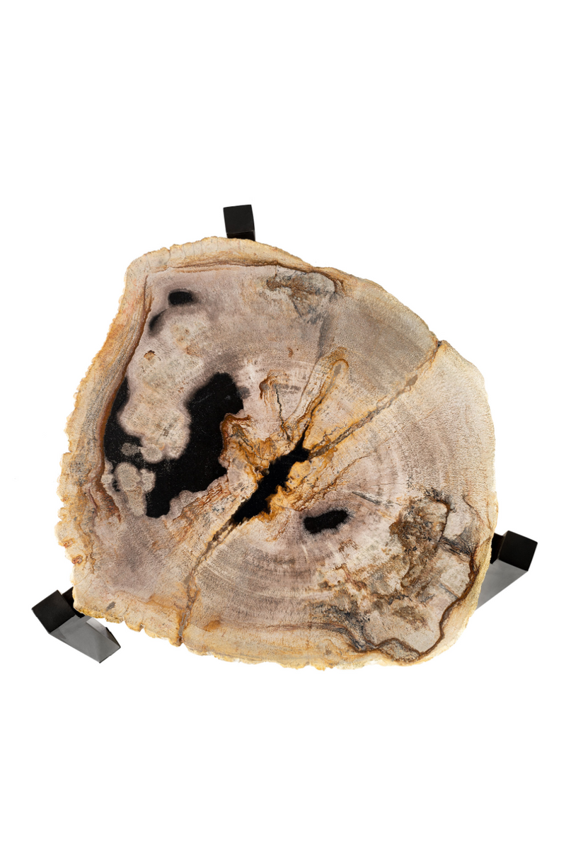 Petrified Wood Nested Coffee Tables (3) | Versmissen | Oroatrade.com