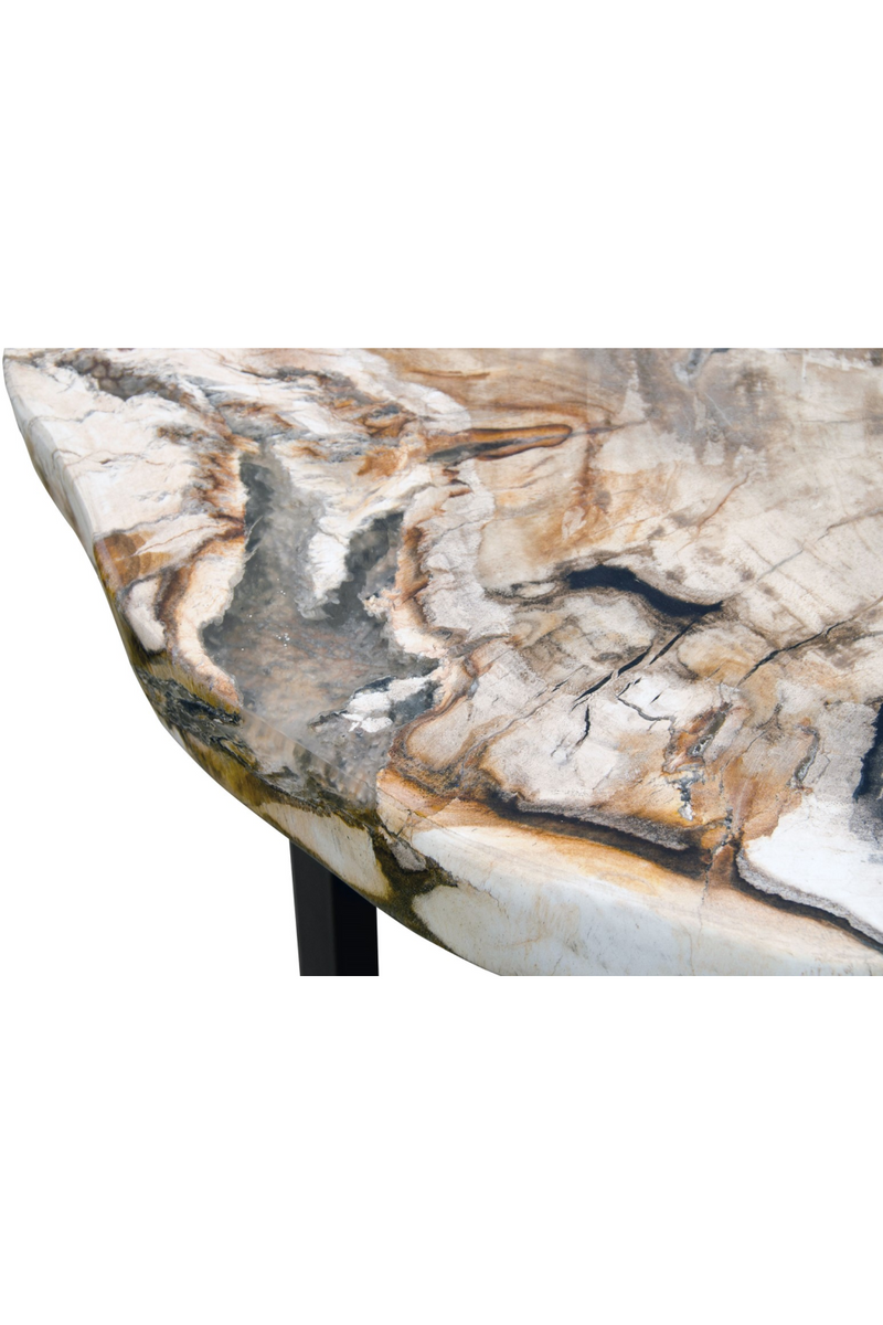 Petrified Wood Occasional Table | Versmissen | Oroatrade.com