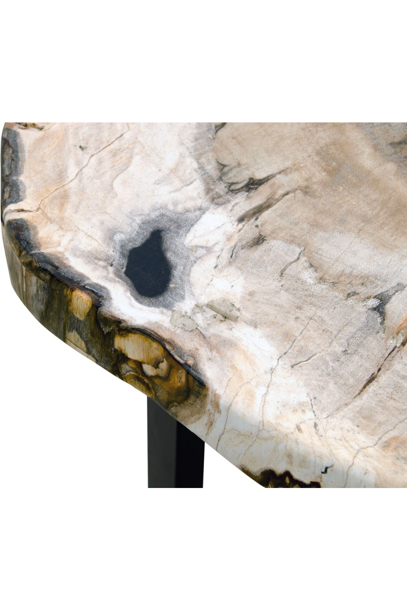 Petrified Wood Occasional Table | Versmissen | Oroatrade.com