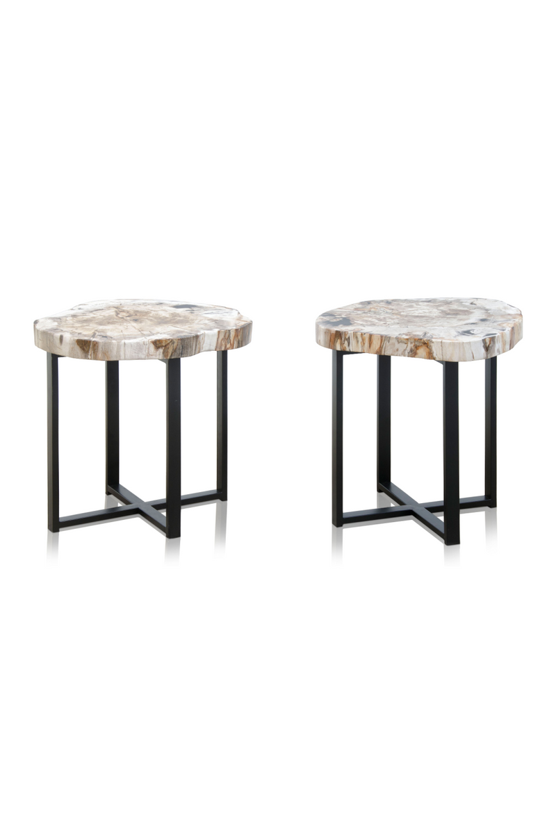 Petrified Wood Coffee Table | Versmissen | Oroatrade.com