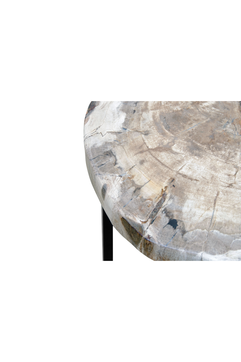 Petrified Wood Coffee Table | Versmissen | Oroatrade.com