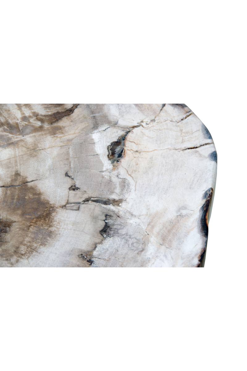 Petrified Wood Coffee Table | Versmissen | Oroatrade.com