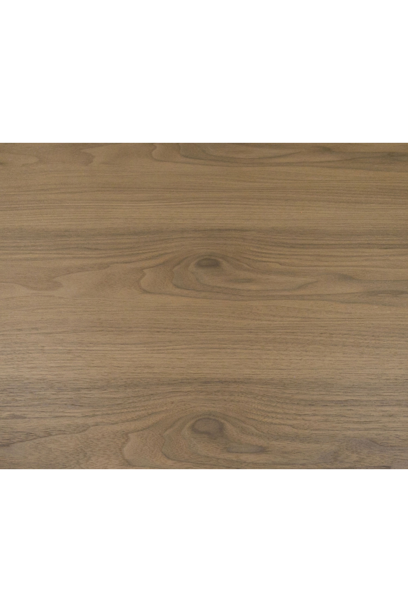 Walnut Veneer 2-Drawer Coffee Table | OROA Modern Heloise | Oroatrade.com