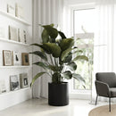 Black Concrete Planter | OROA Modern Hedley