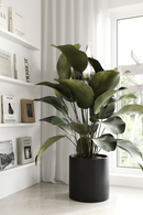 Black Concrete Planter | OROA Modern Hedley | Oroatrade.com