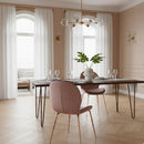 Pink Velvet Dining Chairs (2) | OROA Modern Wendy