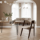 Rounded-Back Walnut Dining Chairs (2) | OROA Modern Vegas