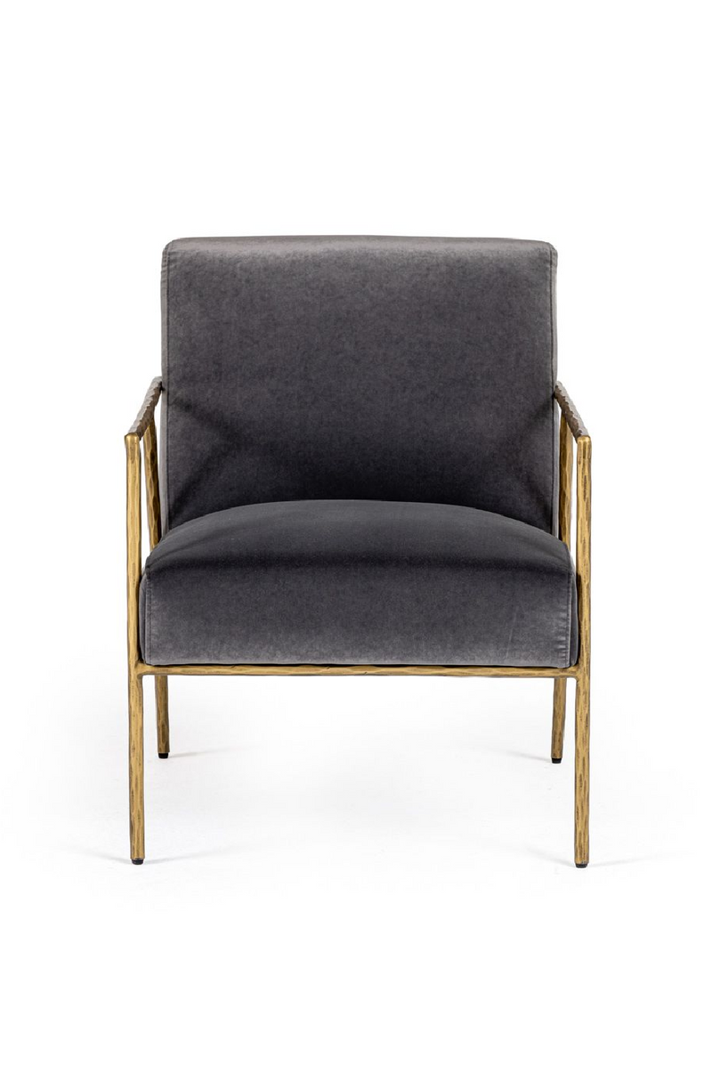 Gold-Framed Gray Velvet Accent Chair | OROA Modern Gibbons | Oroatrade.com