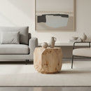 Mappa Burl End Table | OROA Modern July