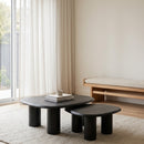 Freeform Ash Coffee Table Set (2) | OROA Modern Summit