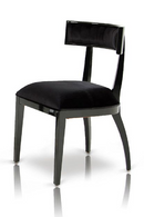 Black Dining Chair Set (2) | OROA Modern Alek | Oroatrade.com
