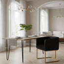 U-Shaped Brass Base Dining Chair | OROA Modern Yukon