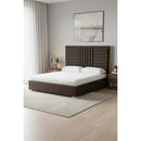 Dark Brown Velvet Bed | OROA Modern Daystar