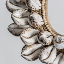 Hospitality furniture - Natural Shells Decorative Object - www.oroatrade.com