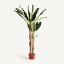 Green Leaf Potted Faux Plant | Vical Home Bananero