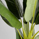 Green Leaf Potted Faux Plant | Vical Home Bananero