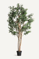 Green Olive Artificial Plant | Vical Home Olivo | Oroatrade.com