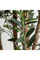 Green Olive Artificial Plant | Vical Home Olivo | Oroatrade.com