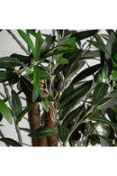 Green Olive Artificial Plant | Vical Home Olivo | Oroatrade.com