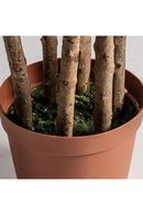 Artificial Fern Plant | Vical Home Helecho | Oroatrade.com