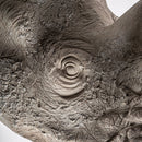 Gray Animal Bust Sculpture | Vical Home Rinoceronte