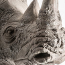 Gray Animal Bust Sculpture | Vical Home Rinoceronte