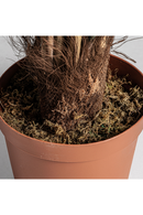 Bamboo Artificial Plant | Vical Home | Oroatrade.com