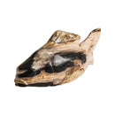Petrified Wood Decorative Figure | Vical Home Pez