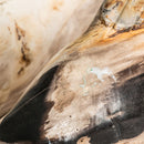 Petrified Wood Decorative Figure | Vical Home Pez