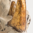 Cream Animal Bust | Vical Home Rinoceronte