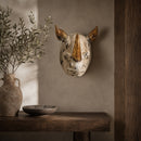 Cream Animal Bust | Vical Home Rinoceronte