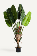 Artificial Bird of Paradise Plant | Vical Home | Oroatrade.com