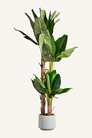 Artificial Banana Tree | Vical Home | Oroatrade.com