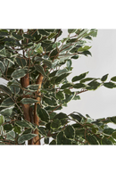 Artificial Leafy Tropical Plant | Vical Home Ficus | Oroatrade.com
