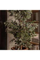 Artificial Leafy Tropical Plant | Vical Home Ficus | Oroatrade.com