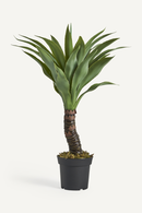Spiky Leaf Artificial Plant | Vical Home Yucca | Oroatrade.com