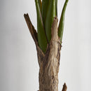 Hospitality furniture - Lush Leaves Faux Plant - www.oroatrade.com