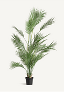 Thin Leaf Artificial Plant | Vical Home Fern | Oroatrade.com