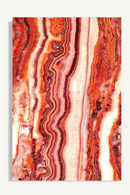 Coral Paper Art Print L | Vical Home Astanxantina | Oroatrade.com