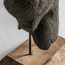 Gray Terracotta Bust | Vical Home Man