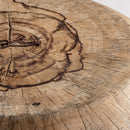 Rustic Tamarind Wood Coffee Table | Vical Home Dharm