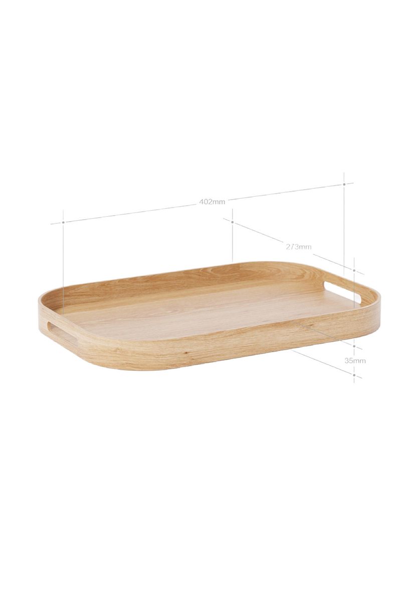 Matte Lacquered Rectangular Tray S | Wireworks Bellhop | Oroa Trade