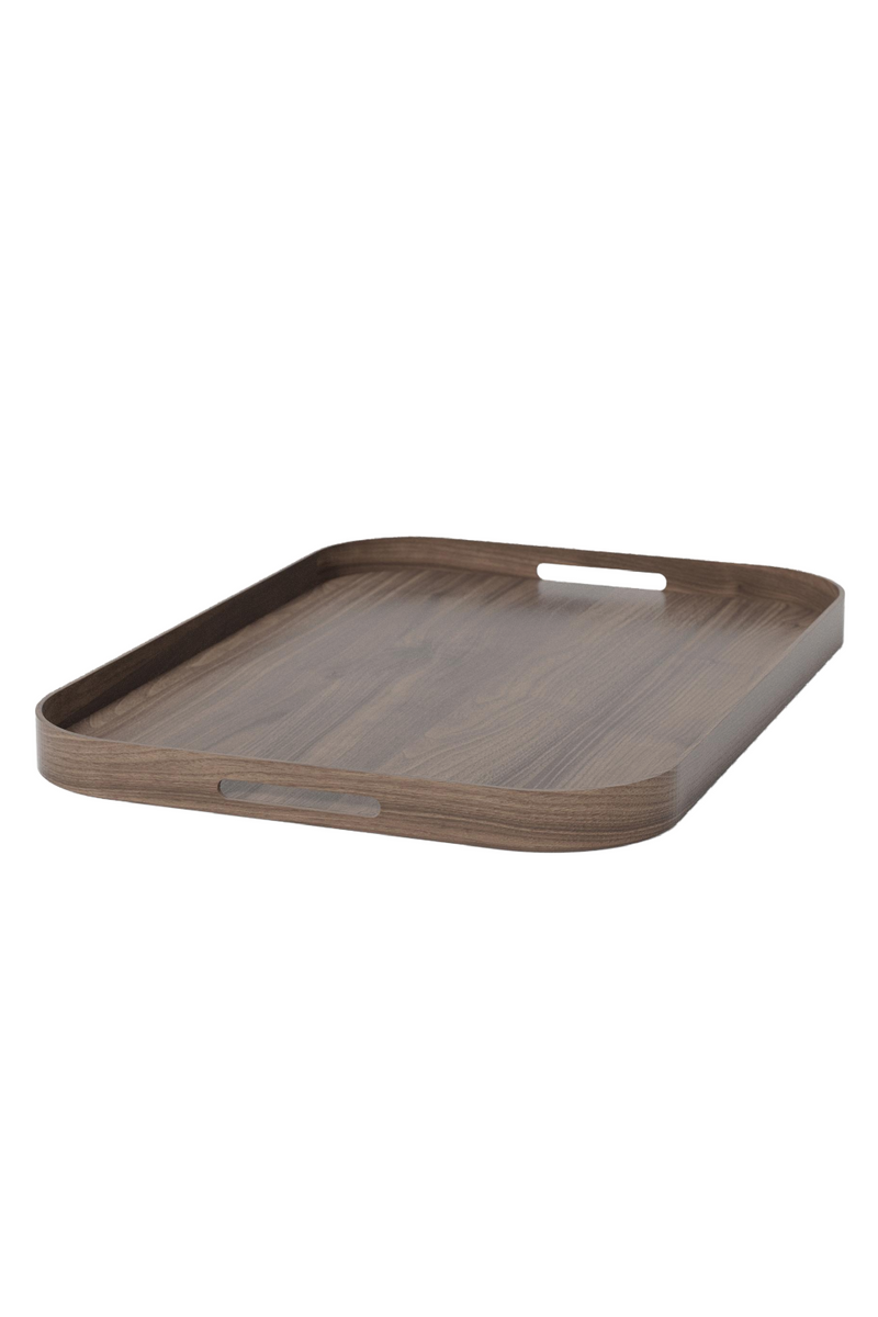 Matte Lacquered Rectangular Tray L | Wireworks Bellhop | Oroa Trade
