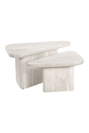 Whitewashed Acacia Coffee Table Set | OROA Modern Navidic | Oroatrade.com