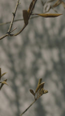 Extendable Black Oak Dining Table | Ethnicraft Bok | Oroatrade.com