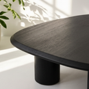 Freeform Ash Coffee Table Set (2) | OROA Modern Summit | Oroatrade.com
