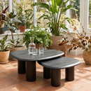 Freeform Ash Coffee Table Set (2) | OROA Modern Summit | Oroatrade.com